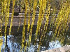 -元大都城垣遗址公园