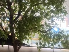-黑牛の店·黑金店(沈阳万象城店)