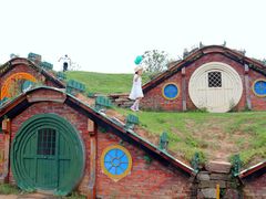 -武汉紫薇都市田园