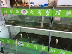 水产区-阳澄湖大闸蟹·琼灵阁牌品牌连锁(吴中总店)