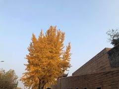 -苏州吴宫泛太平洋酒店