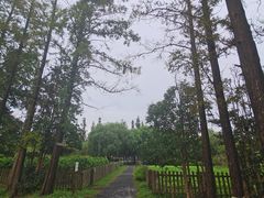 -前小桔亲子创意农场·草莓采摘·露营烧烤