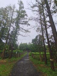 -前小桔亲子创意农场·草莓采摘·露营烧烤