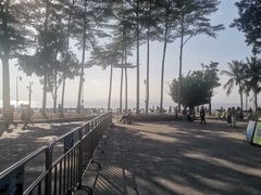 -深圳湾公园(南山区)