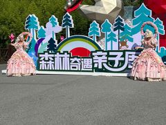 -黄海国家森林公园