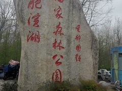 -合肥滨湖国家森林公园