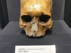 -北京周口店北京人遗址博物馆