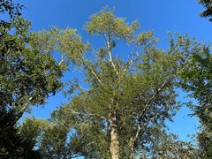 -长春市南湖公园