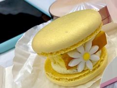 半熟花花马卡龙桂花半熟芝士味-好利来(欧尚广场店)