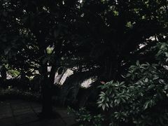 -乐山大佛风景名胜区乌尤寺南门-售票点