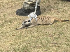 -西北湖绿化广场