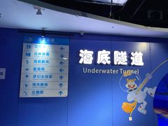 -重庆欢乐海底世界