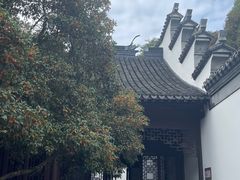 -上海醉白池公园