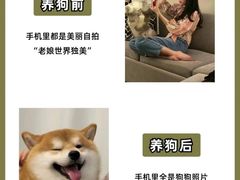 -美联众合爱康动物医院•复杂内科•肿瘤科•牙科•腔镜诊疗中心