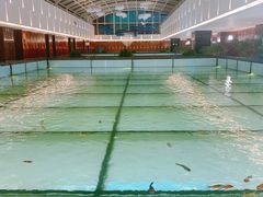 -丽彩天祺酒店-自助餐厅