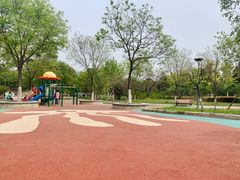 -大兴滨河森林公园