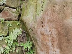 -春涛餐馆(下坝店)