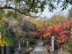 -云龙山
