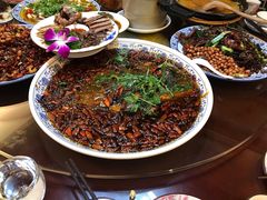 杨记招牌鱼-杨记隆府(南坪店)