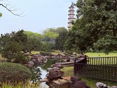 -江心屿景区