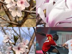 -上海体育场