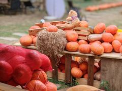 -HERRE·FARM 赫尔露营农场·团建聚会包场