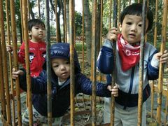 -北京麋鹿生态实验中心