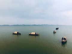 -鄱阳湖国家湿地公园