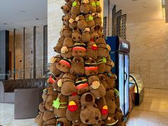 -廊坊固安福朋喜来登酒店