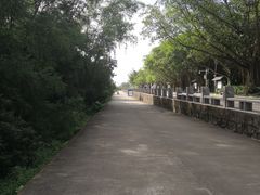 -深圳湾公园(南山区)