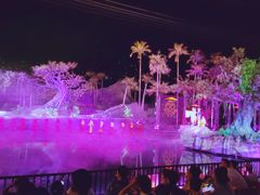 -三亚红色娘子军演艺公园景区