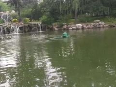 -钓鱼台国宾馆