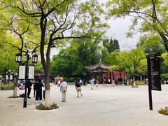 -文瀛公园