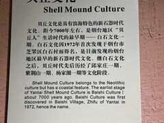 -烟台市博物馆