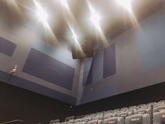 放映厅-博纳国际影城IMAX(中央大道店)