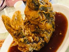 糖醋大鲤鱼-三义和酒楼(广渠门店)