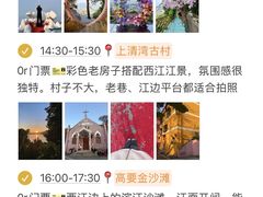 -鼎香皇高佬苏裹蒸粽