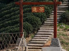 -龙坞茶村