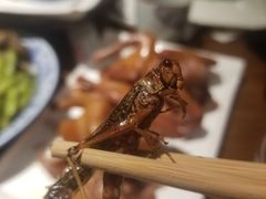 -燕郊烧鸽子(广安路店)