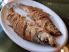 干炸岛子-老白肉馆(临江小区店)