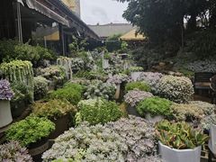 -山菌美食苑(振兴路店)