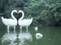 -深圳野生动物园