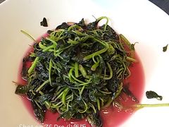 -俏陵轩·南京本土菜(奥体博览中心店)
