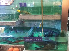 -鱼你相聚·河鲜馆(袁家岭店)