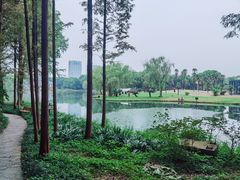 -新洲生态园