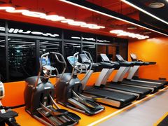 -健身专家Wellness Experts