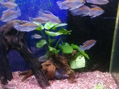-沙沙哗啦海洋馆(华宇百花谷店)