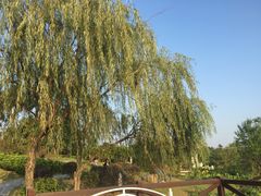 -广东花都香草世界旅游度假区
