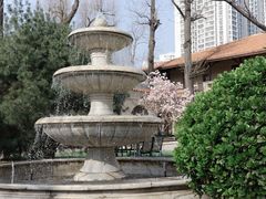-静园(和平区)