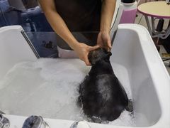 -FAELING PETS美天灵宠物(富力广场店)